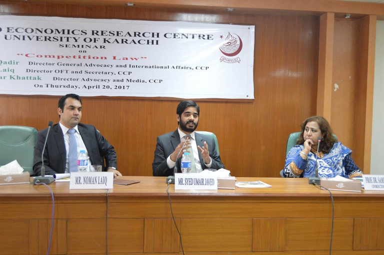 What is a dissertation picture